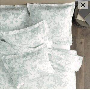 Jardin Toile Duvet Cover (Queen)  and 2 euro shams. Color spa